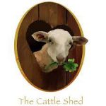 Set Dance im Irish Pub »The Cattle Shed«