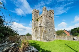 termonfeckin castle 1669186