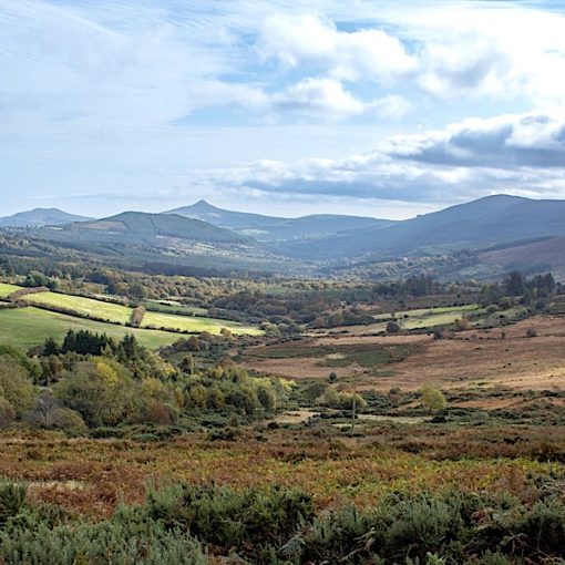 GlenncreeValley•Screenshot